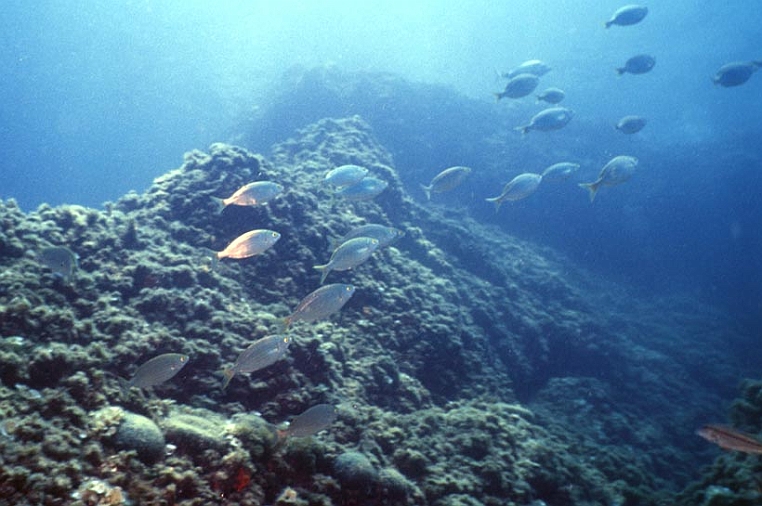 12 franata.jpg - Si arriva alla punta più a ovest dell'Isola, detta del Pifferaio.